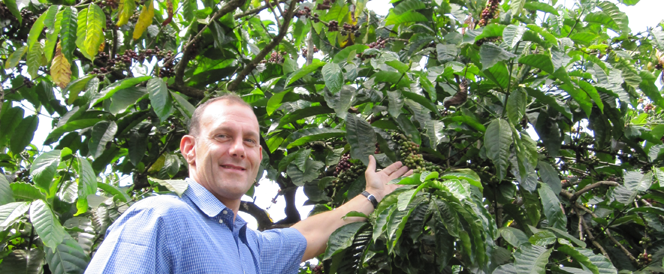 ICP (International Coffee Partnership)